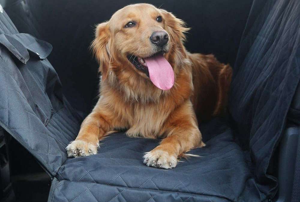 Funda protectora de asientos de coche para mascotas